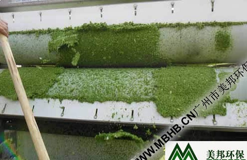 蔬菜脫水圖例-帶式脫水機(jī)在蔬菜脫水圖例